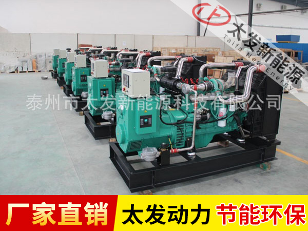 康明斯秸稈氣發(fā)電機(jī)組